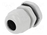 Cable gland; PG13,5; IP68; polyamide; grey PAWBOL