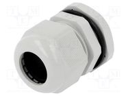 Cable gland; PG21; IP67; polyamide; grey PAWBOL