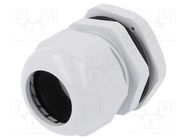 Cable gland; PG29; IP67; polyamide; grey PAWBOL