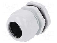 Cable gland; PG29; IP68; polyamide; grey PAWBOL
