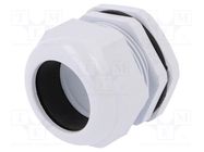 Cable gland; PG42; IP67; polyamide; grey PAWBOL