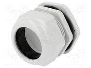 Cable gland; PG48; IP67; polyamide; grey PAWBOL