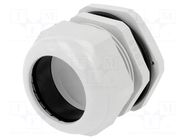 Cable gland; PG48; IP68; polyamide; grey PAWBOL