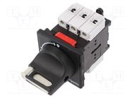 Main emergency switch-disconnector; Poles: 3; 12A; IP65; -20÷50°C 