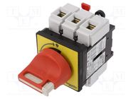 Main emergency switch-disconnector; Poles: 3; 63A; IP65; -20÷50°C 