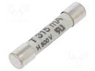 Fuse: fuse; time-lag; 315mA; 500VAC; ceramic,cylindrical; 6.3x32mm SIBA