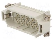 Connector: HDC; contact insert; male; GWconnect; PIN: 25; 250V; 10A MOLEX