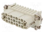 Connector: HDC; contact insert; female; S-D; PIN: 25; size 16A; 10A 