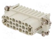 Connector: HDC; contact insert; female; GWconnect; PIN: 25; 250V MOLEX