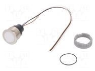 Switch: capacitive; Pos: 2; SPST; 0.1A/42VAC; 0.1A/60VDC; IP67; CPS SCHURTER