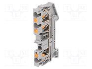 Splice terminal: rail; 0.2÷6mm2; ways: 1; terminals: 3; grey; PT PHOENIX CONTACT