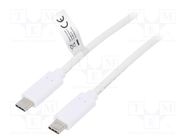 Cable; USB 3.2; USB C plug,both sides; 0.5m; white; 10Gbps; 100W LOGILINK