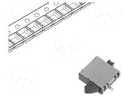 Switch: detecting; Pos: 2; SPST; 0.01A/5VDC; 500mΩ; 0.39N; 1.7mm PANASONIC