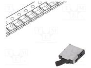 Switch: detecting; Pos: 2; SPST; 0.01A/5VDC; Leads: for PCB; 500mΩ PANASONIC