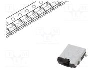 Switch: detecting; Pos: 2; SPST; 0.01A/5VDC; Leads: straight; 500mΩ PANASONIC