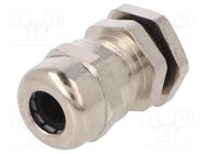 Cable gland; M12; 1.5; IP68; brass; Body plating: nickel; RRPL RAYCHEM RPG