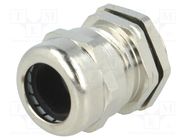 Cable gland; PG13,5; IP68; brass; Body plating: nickel; RRPL RAYCHEM RPG