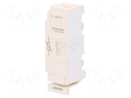 Surge arrester; varistor; front; -25÷55°C; 110÷250VAC; 110÷250VDC SCHNEIDER ELECTRIC