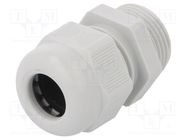 Cable gland; PG13,5; IP68; polyamide; light grey; V-TEC PG OBO BETTERMANN