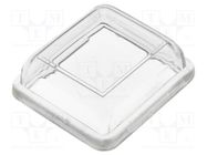 Accessories: cover; Body: transparent; 24x21mm; 8650 series BULGIN