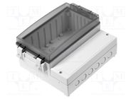 Enclosure: wall mounting; X: 235mm; Y: 185mm; Z: 119mm; CARDMASTER FIBOX