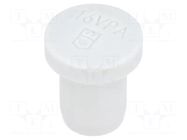 Stopper; M16,PG13,5; polyamide; 107VS VM; 9.5mm OBO BETTERMANN