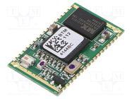 Module: Bluetooth; PCM,UART,USB; SMD; 25x14.5x2.2mm; 2.0 EDR RAYSON