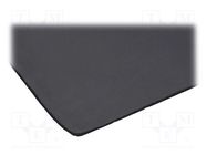 Damping mat; polyetylene; 600x1000x6mm; self-adhesive SILENT COAT