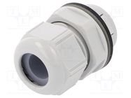 Cable gland; IP68; polyamide; light grey; push-in LAPP