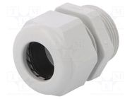 Cable gland; PG21; IP68; polyamide; light grey; UL94V-0; HSK-K HUMMEL