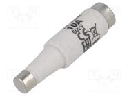 Fuse: fuse; quick blow; 10A; 500VAC; 500VDC; ceramic; DI; D ETI POLAM