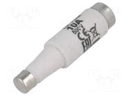 Fuse: fuse; 10A; 500VAC; 500VDC; quick blow; ceramic; DI; D ETI POLAM