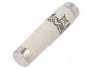 Fuse: fuse; 20A; 500VAC; 500VDC; quick blow; ceramic; DI; D ETI POLAM