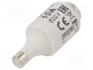 Fuse: fuse; quick blow; 10A; 500VAC; 440VDC; ceramic; DII; D ETI POLAM