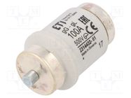 Fuse: fuse; gG; 100A; 500VAC; 500VDC; ceramic; DIV; D ETI POLAM