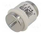 Fuse: fuse; 160A; 500VAC; 500VDC; quick blow; ceramic; DV; D ETI POLAM