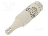 Fuse: fuse; gG; 6A; 500VAC; 500VDC; ceramic; DI; D ETI POLAM