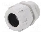 Cable gland; with long thread; PG29; IP68; polyamide; grey BM GROUP