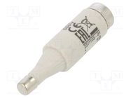 Fuse: fuse; quick blow; 6A; 500VAC; 500VDC; ceramic; DI; D ETI POLAM