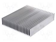 Heatsink: extruded; grilled; L: 300mm; W: 262mm; H: 60mm; aluminium STONECOLD