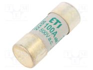 Fuse: fuse; aM; 100A; 500VAC; cylindrical,industrial; 22x58mm ETI POLAM