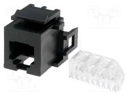 RJ12; socket; PIN: 6; gold-plated; Layout: 6p6c; 26AWG÷22AWG; IDC TE Connectivity