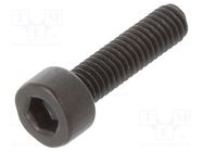 Screw; M2.5x10; 0.45; Head: cheese head; hex key; HEX 2mm; steel BOSSARD