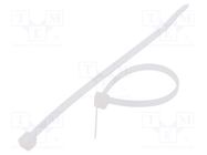 Cable tie; L: 710mm; W: 7.6mm; polyamide; 667N; natural; Ømax: 198mm FIX&FASTEN