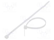 Cable tie; L: 140mm; W: 3.6mm; polyamide; 177N; natural; Ømax: 33mm FIX&FASTEN