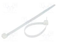 Cable tie; L: 120mm; W: 4.8mm; polyamide; 222N; natural; Ømax: 30mm FIX&FASTEN