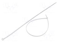 Cable tie; L: 370mm; W: 4.8mm; natural; polyamide; 222N; Ømax: 102mm FIX&FASTEN