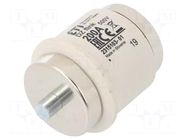 Fuse: fuse; 200A; 500VAC; 250VDC; quick blow; ceramic; DV; D ETI POLAM
