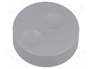 Knob; without pointer; plastic; Øshaft: 6mm; Ø39.6x13.5mm; grey CLIFF