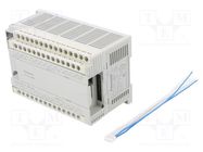 Module: PLC programmable controller; OUT: 16; IN: 24; FP-X0 